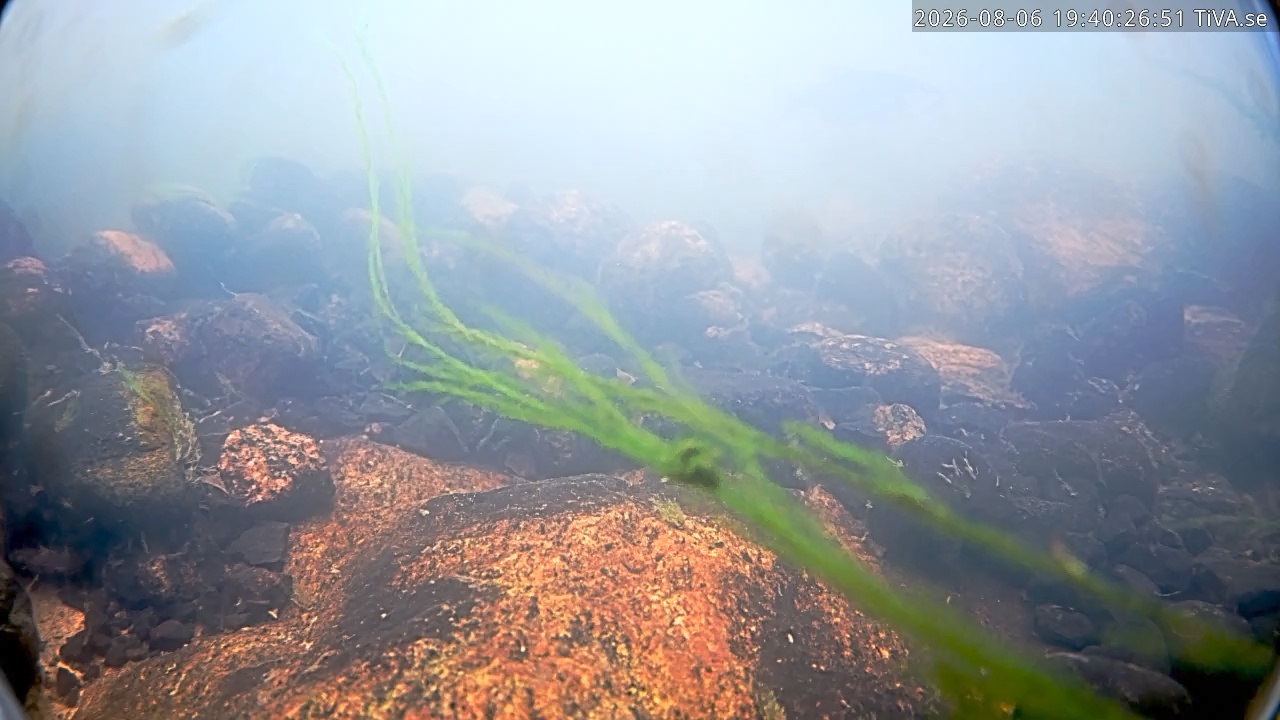 Video 2026-08-06 19:40