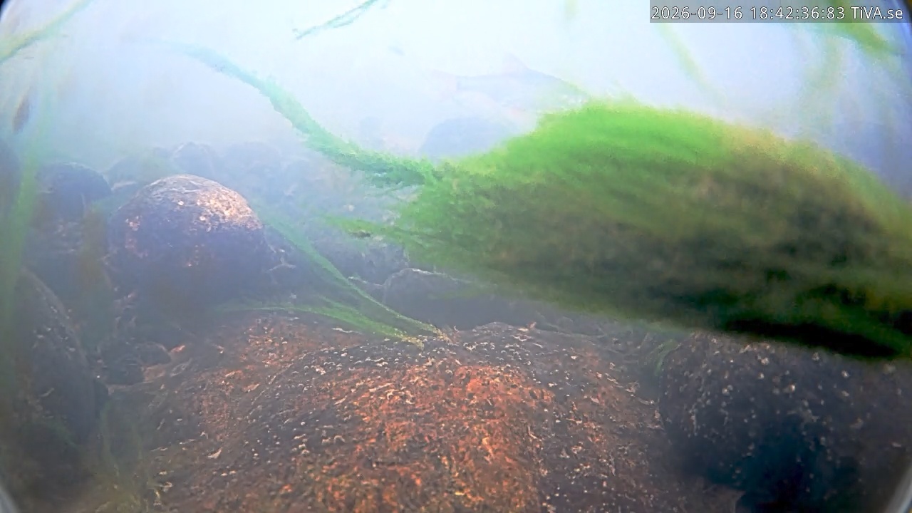 Video 2026-09-16 18:42