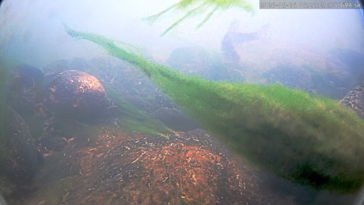 Video 2026-09-16 06:21