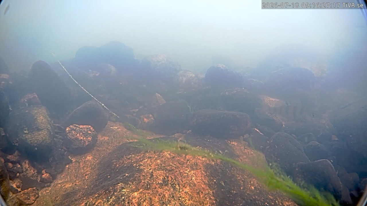 Video 2026-07-18 09:16