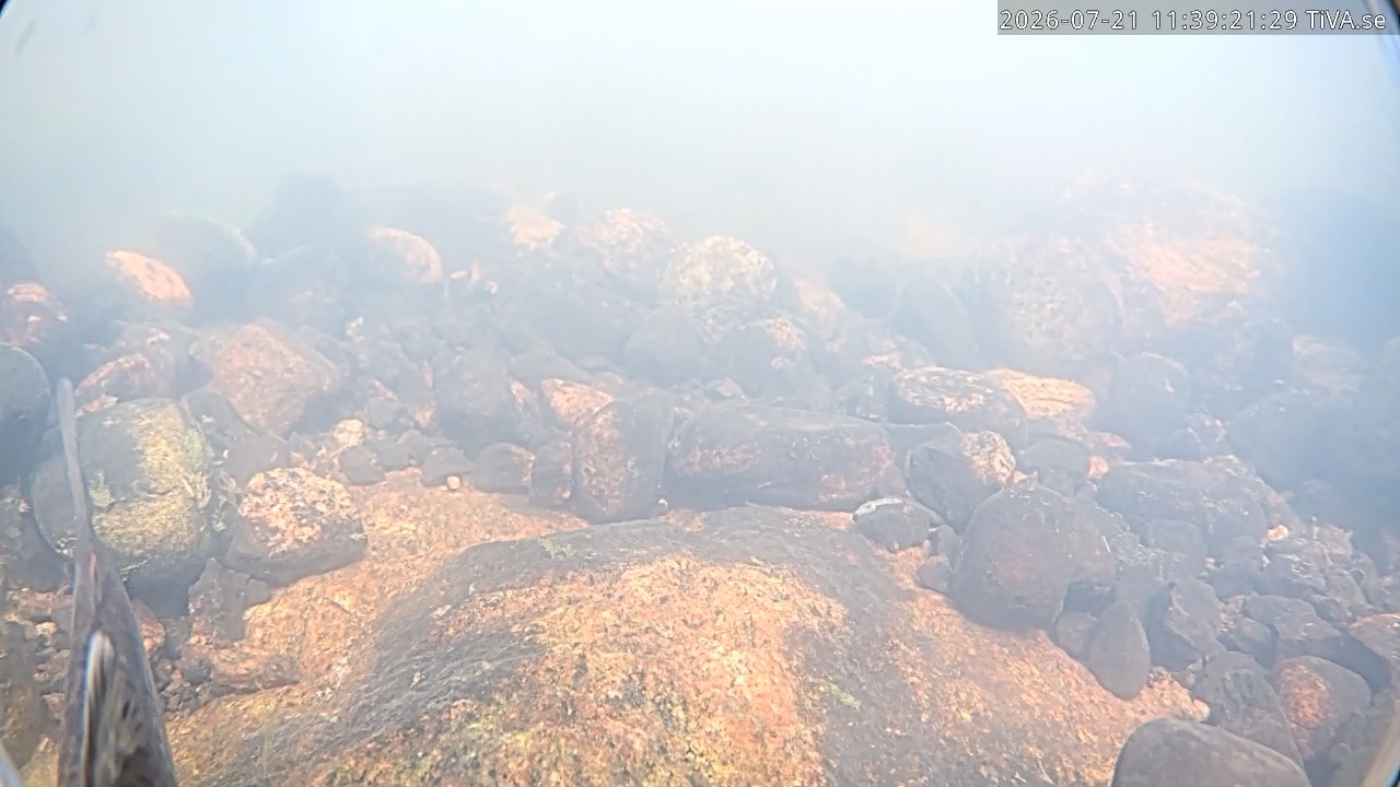 Video 2026-07-21 11:39
