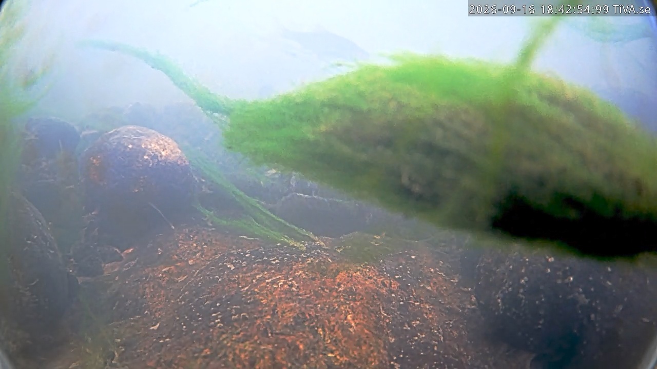 Video 2026-09-16 18:42