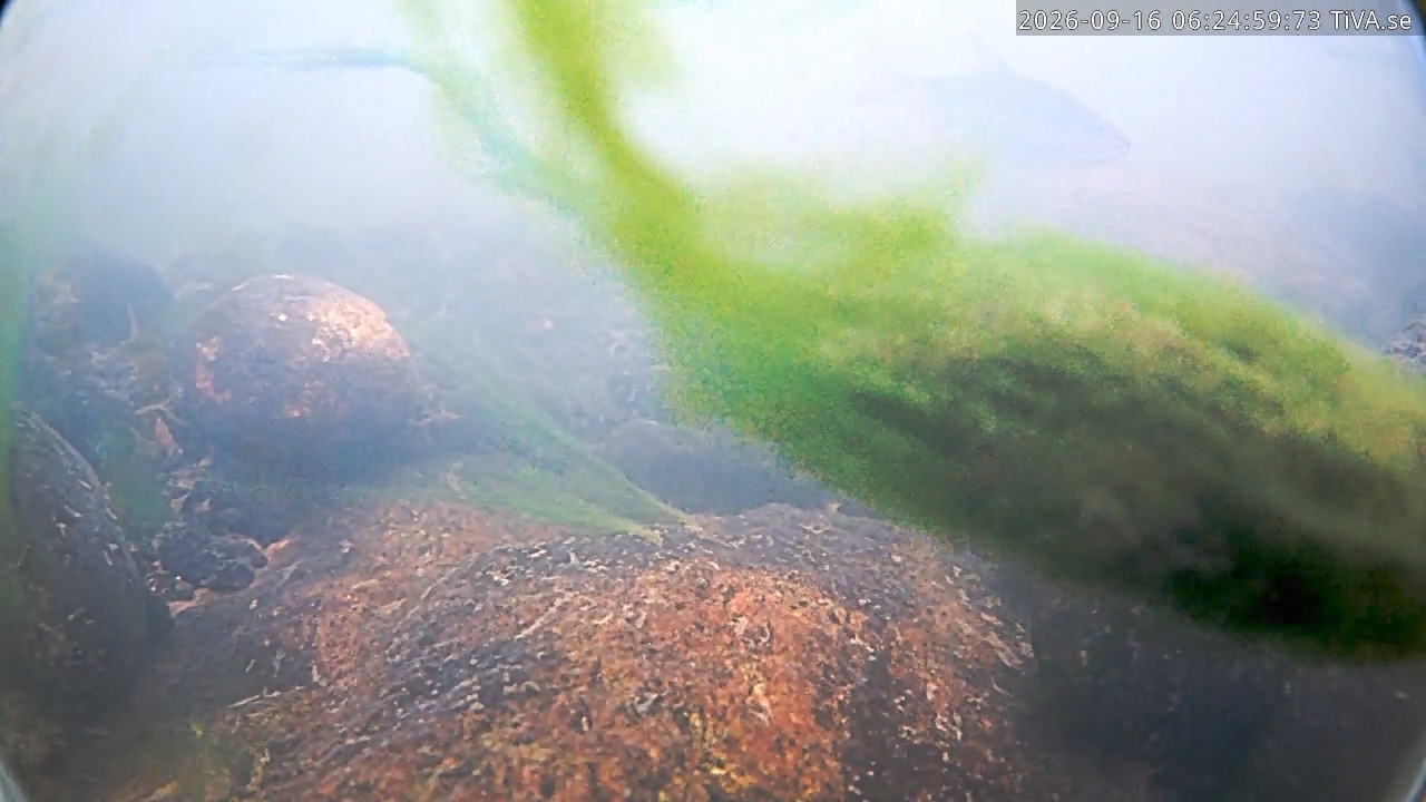 Video 2026-09-16 06:25