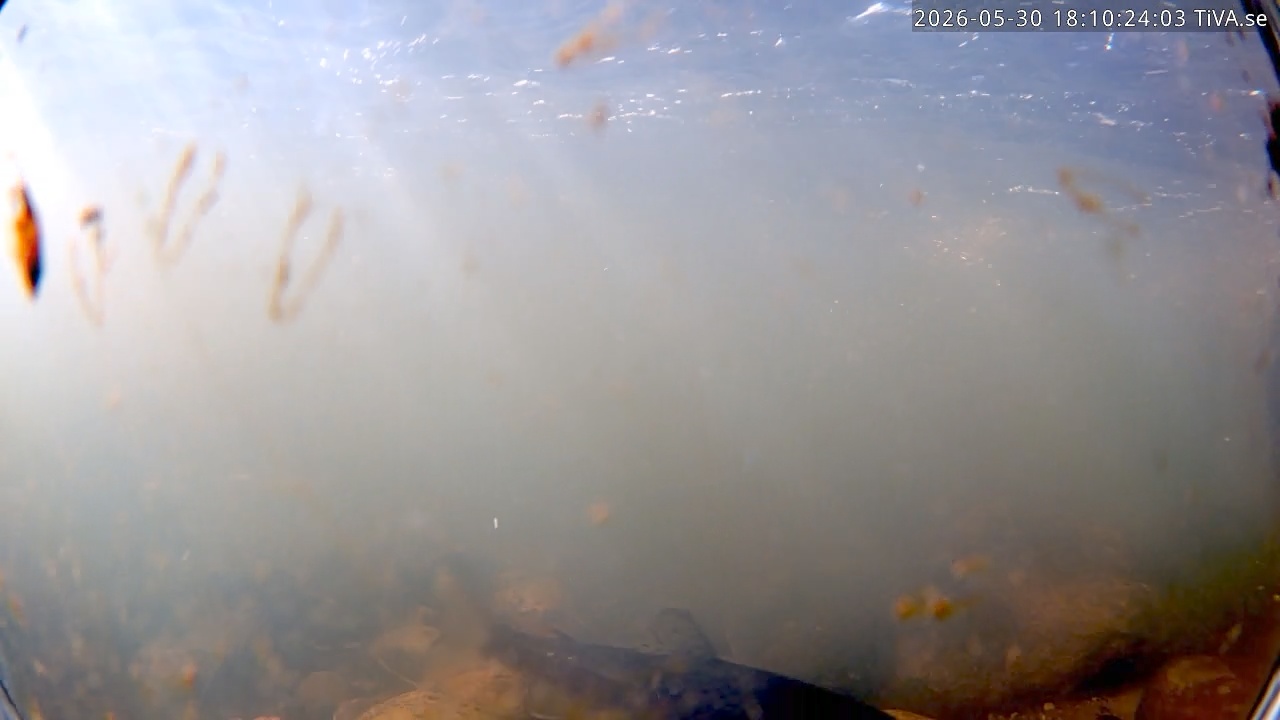 Video 2026-05-30 18:10