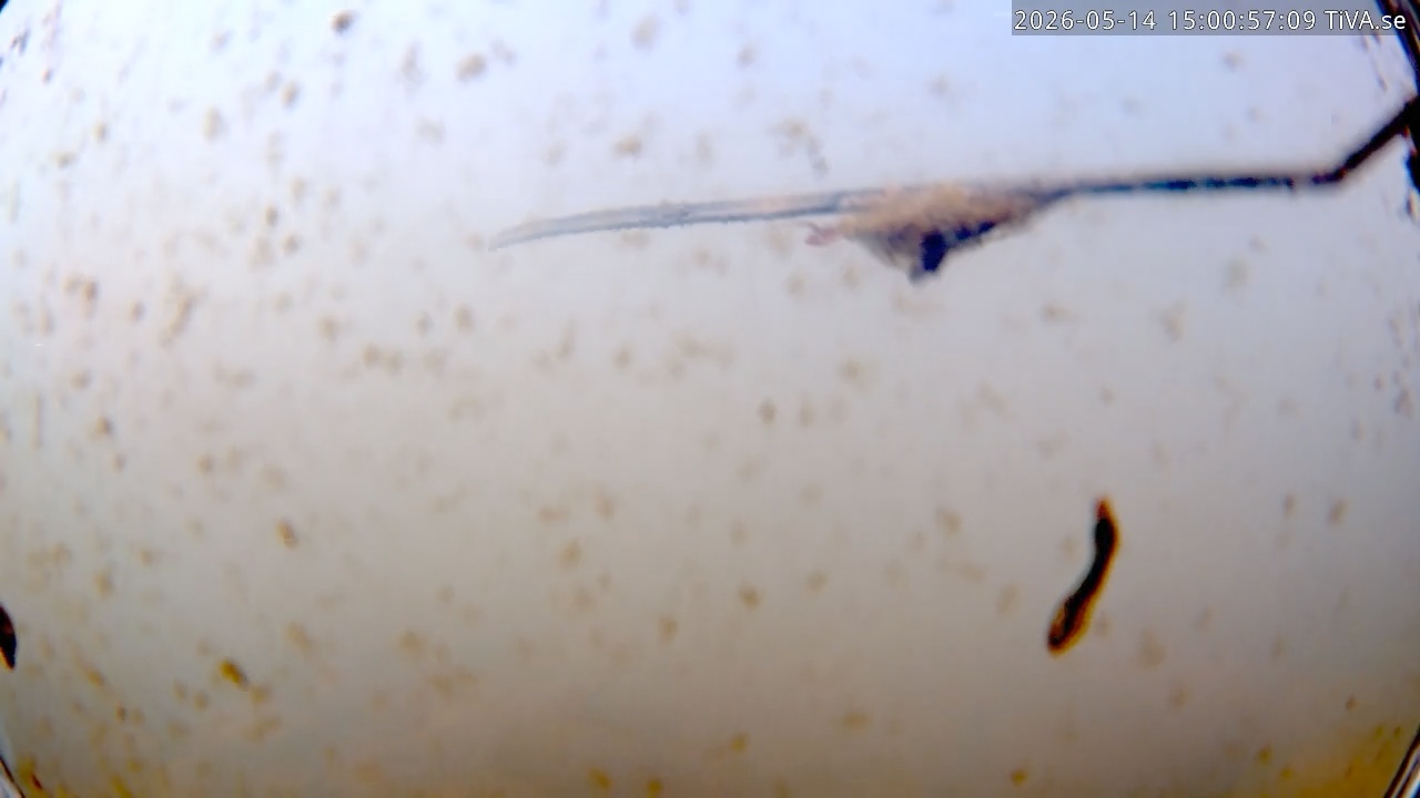 Video 2026-05-14 15:01
