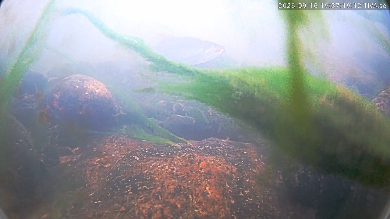Video 2026-09-16 19:37