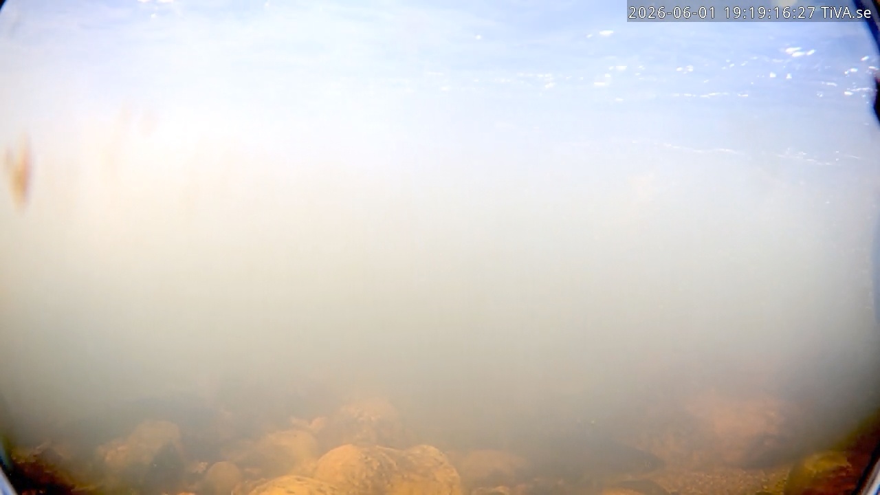 Video 2026-06-01 19:19
