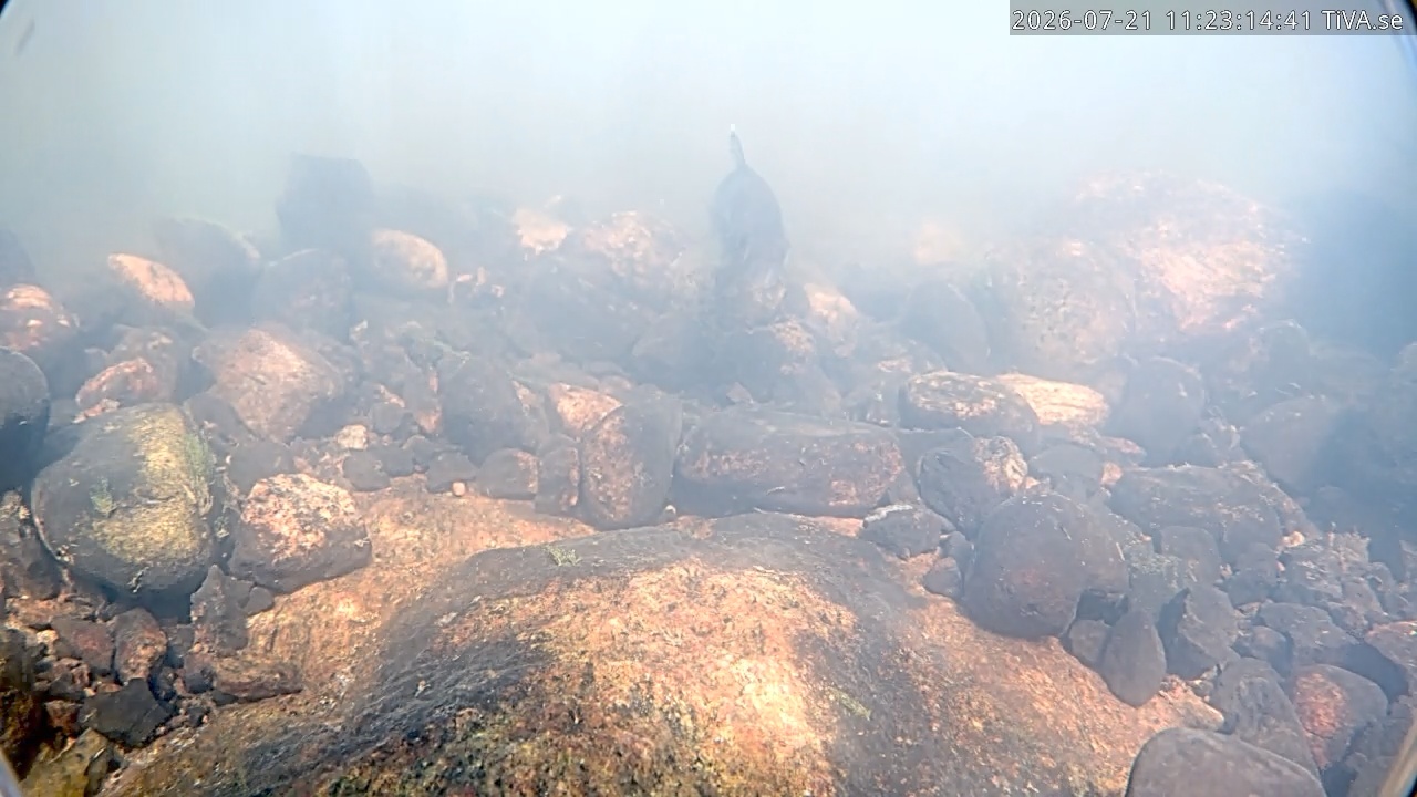 Video 2026-07-21 11:23