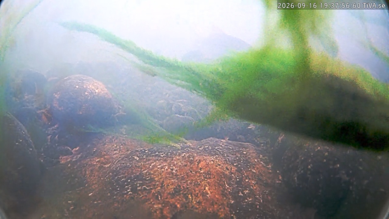 Video 2026-09-16 19:38