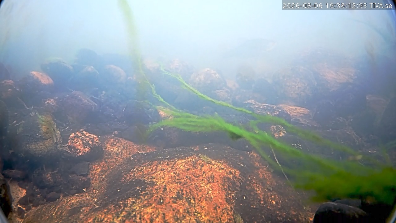 Video 2026-08-06 19:38