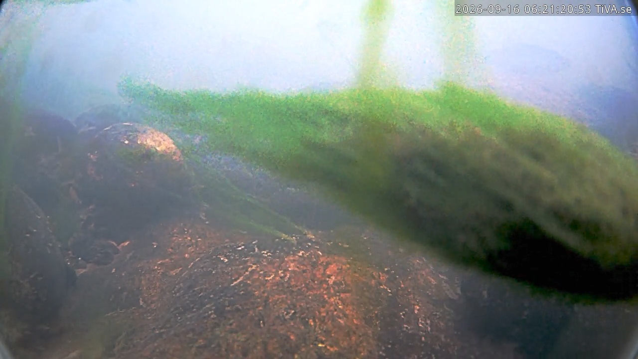 Video 2026-09-16 06:21