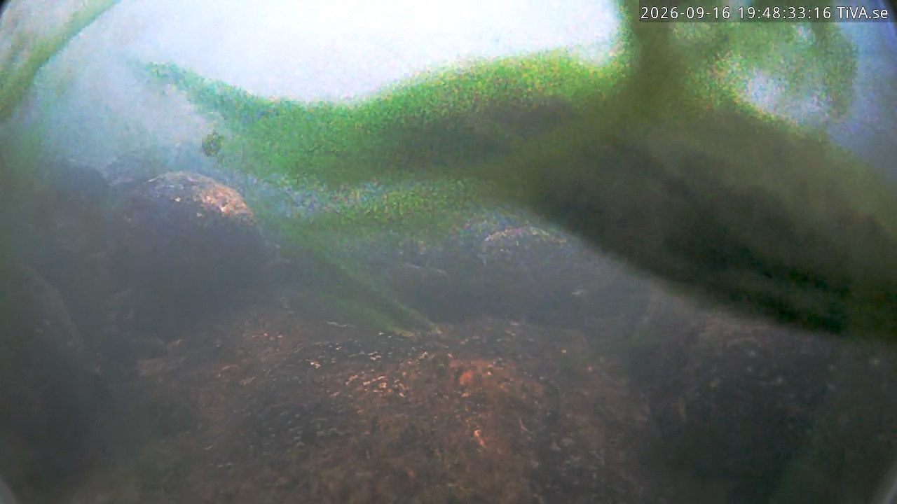 Video 2026-09-16 19:48