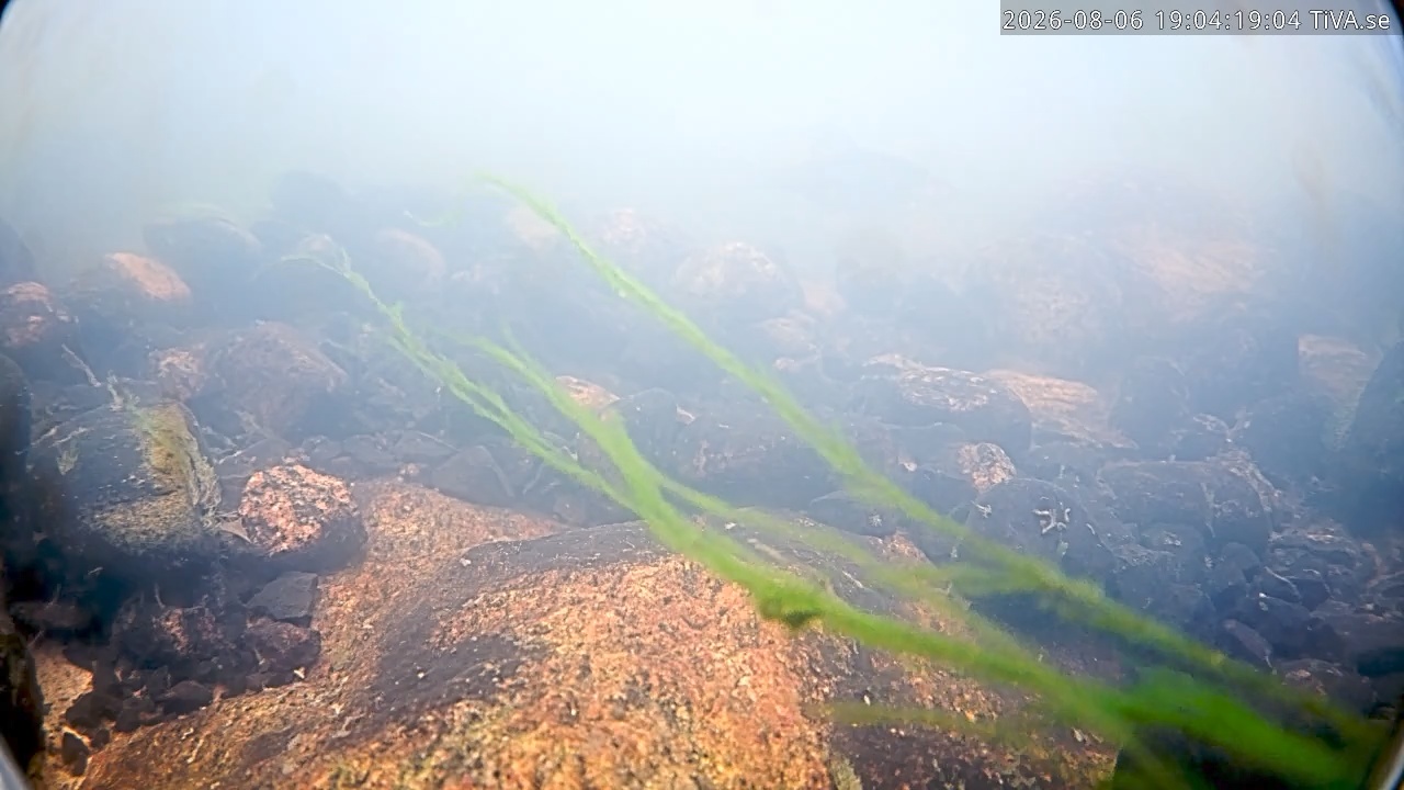 Video 2026-08-06 19:04