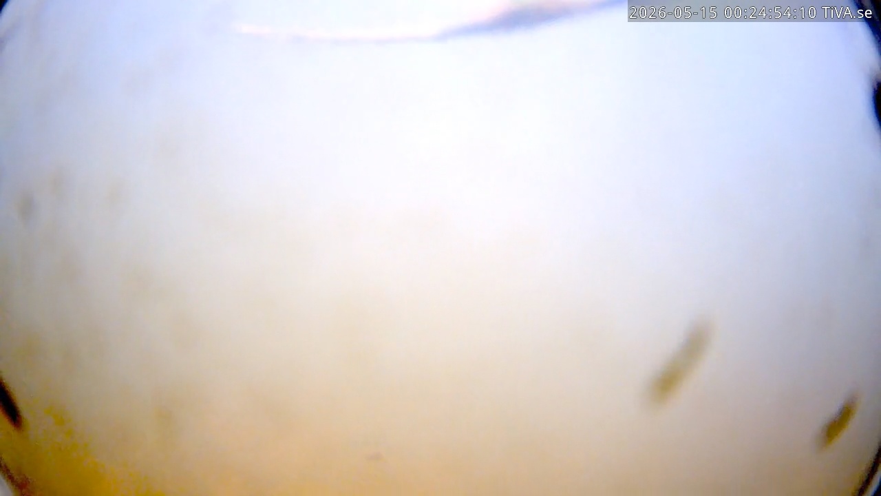 Video 2026-05-15 00:24