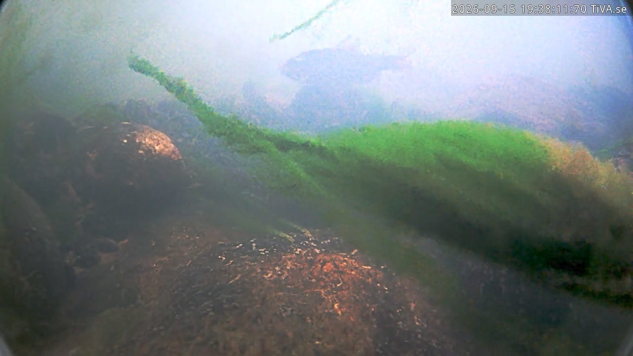 Video 2026-09-15 19:38