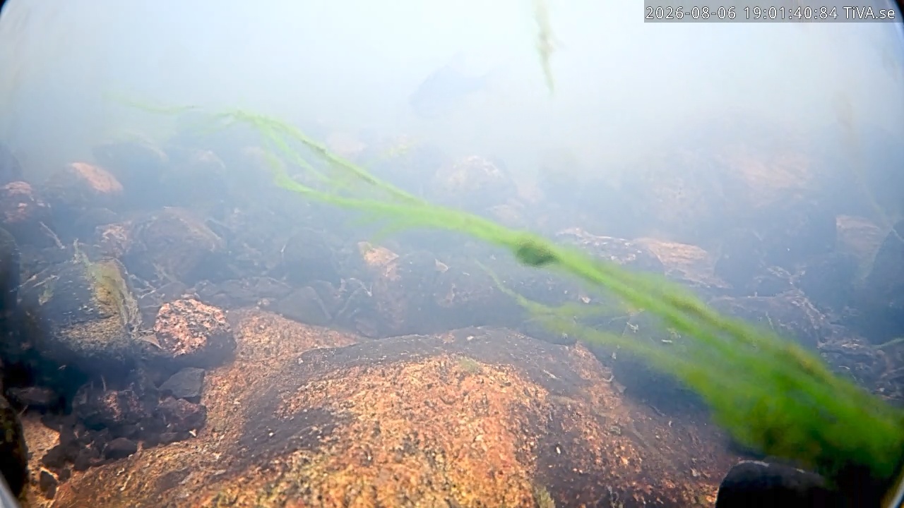 Video 2026-08-06 19:01