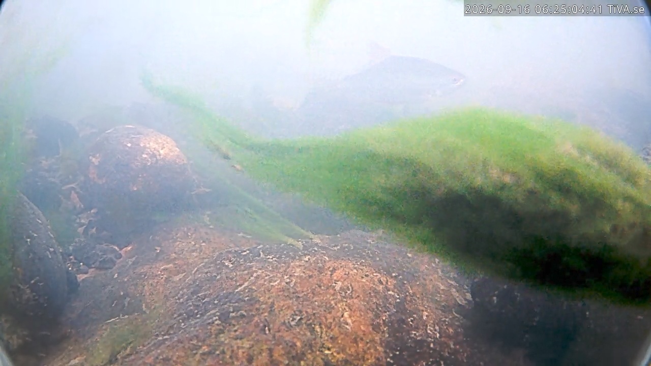 Video 2026-09-16 06:25
