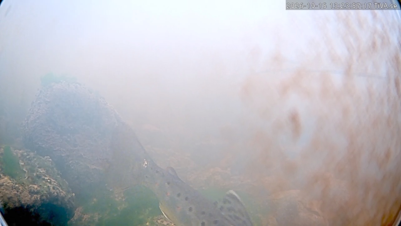 Video 2026-10-15 13:24