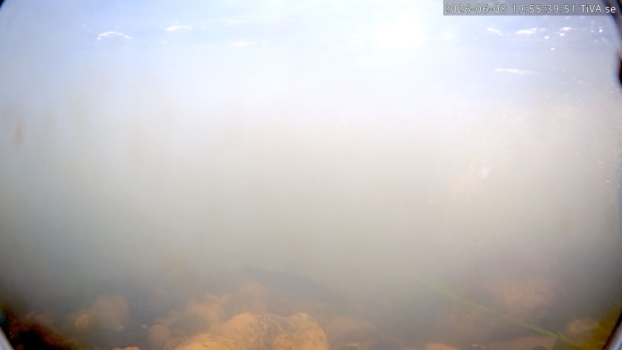 Video 2026-06-08 19:55