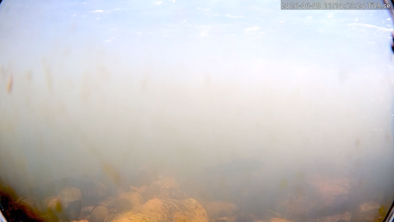 Video 2026-06-09 11:10