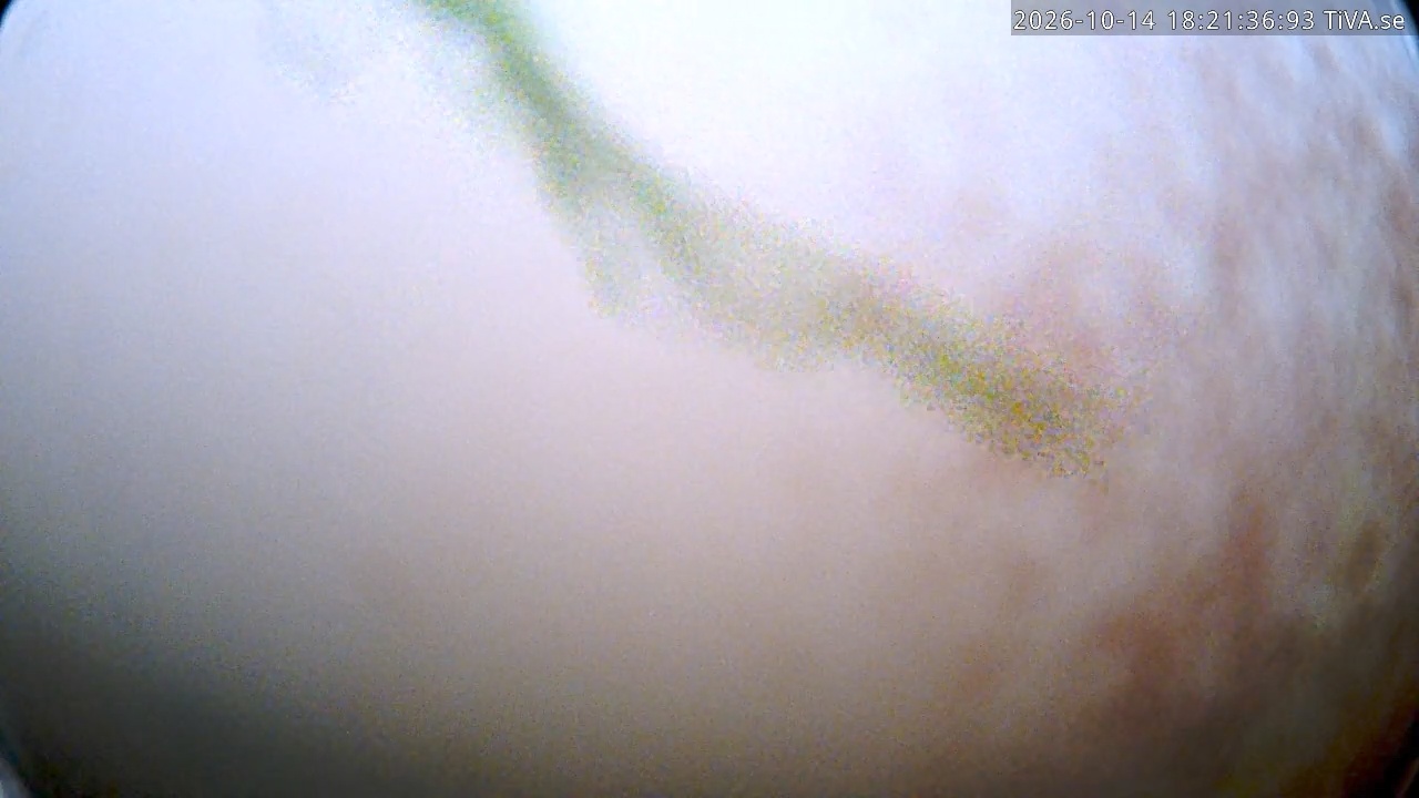 Video 2026-10-14 18:21