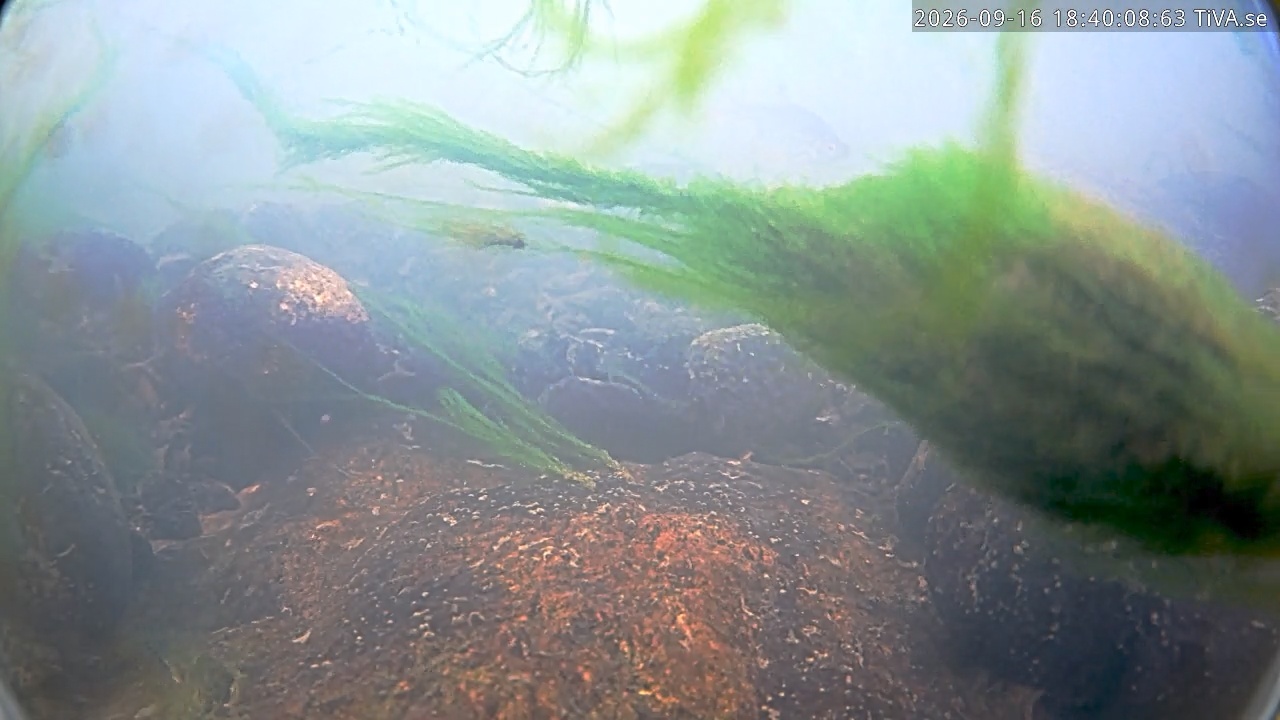 Video 2026-09-16 18:40
