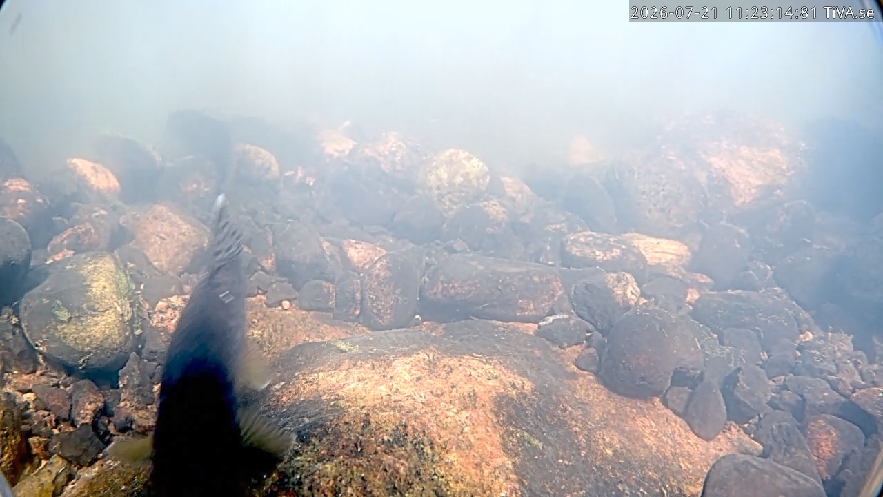 Video 2026-07-21 11:23