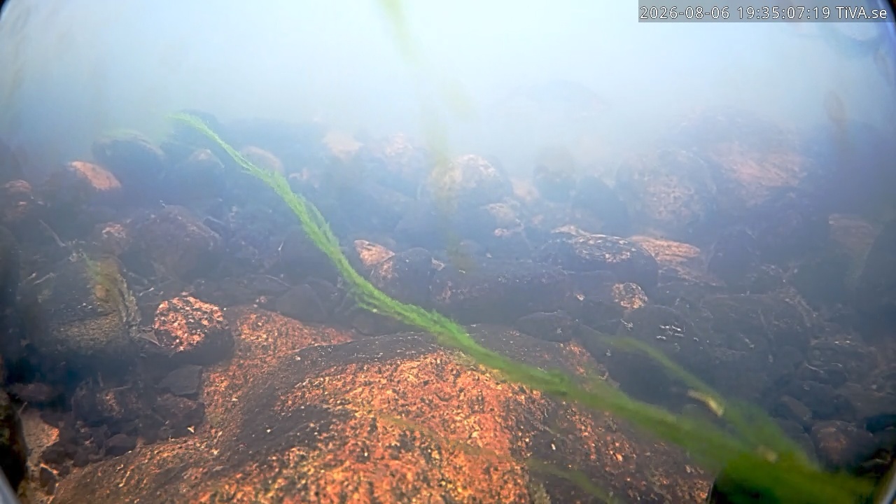 Video 2026-08-06 19:35