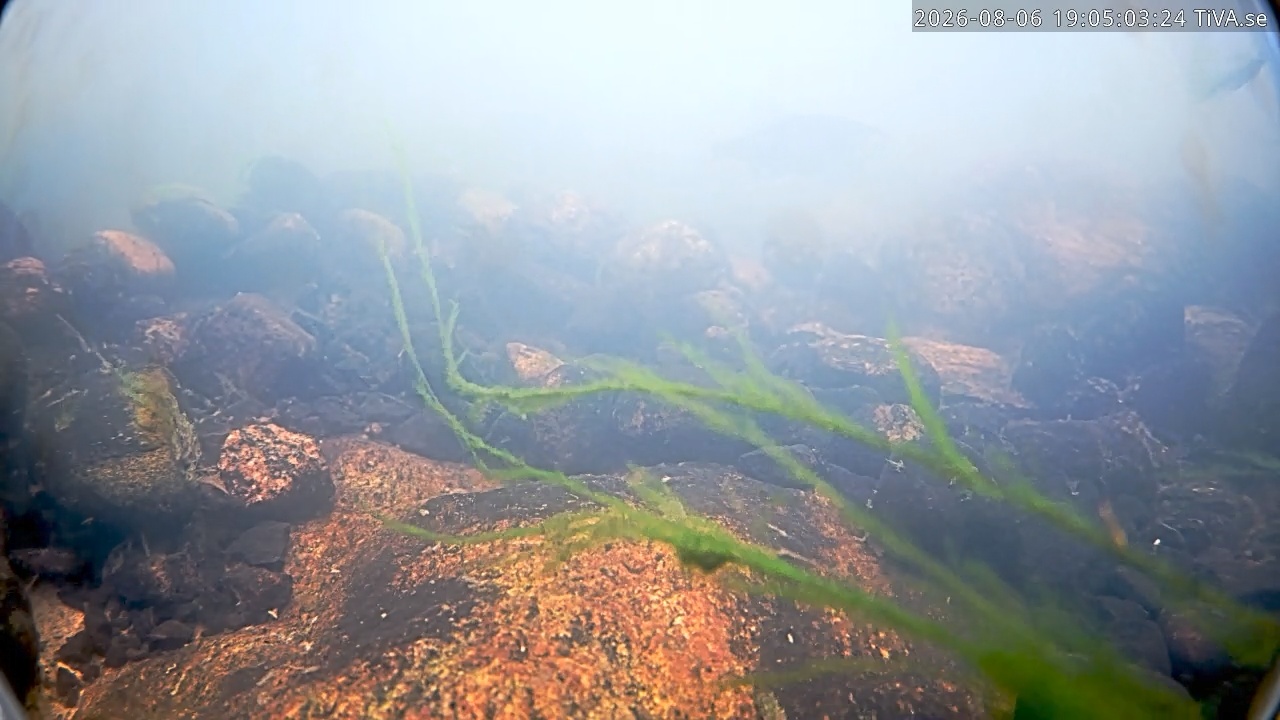 Video 2026-08-06 19:05