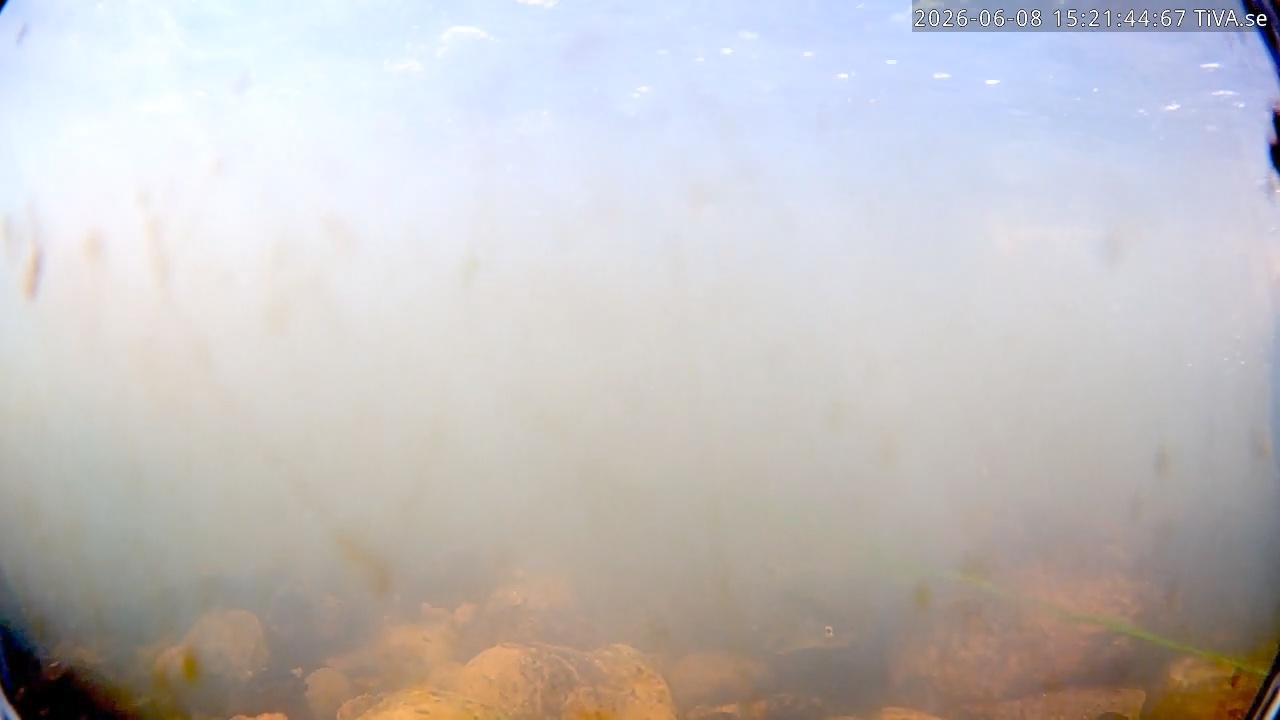 Video 2026-06-08 15:21
