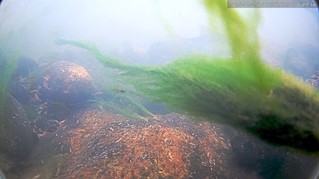 Video 2026-09-16 06:35