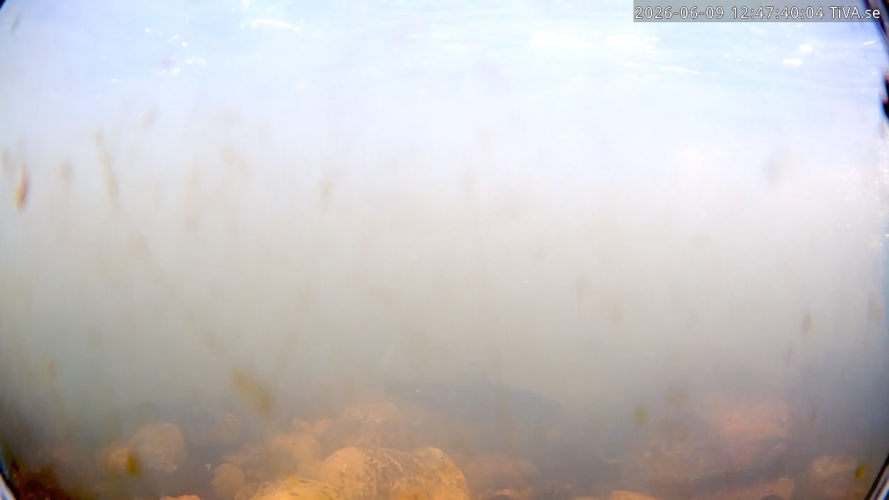 Video 2026-06-09 12:47