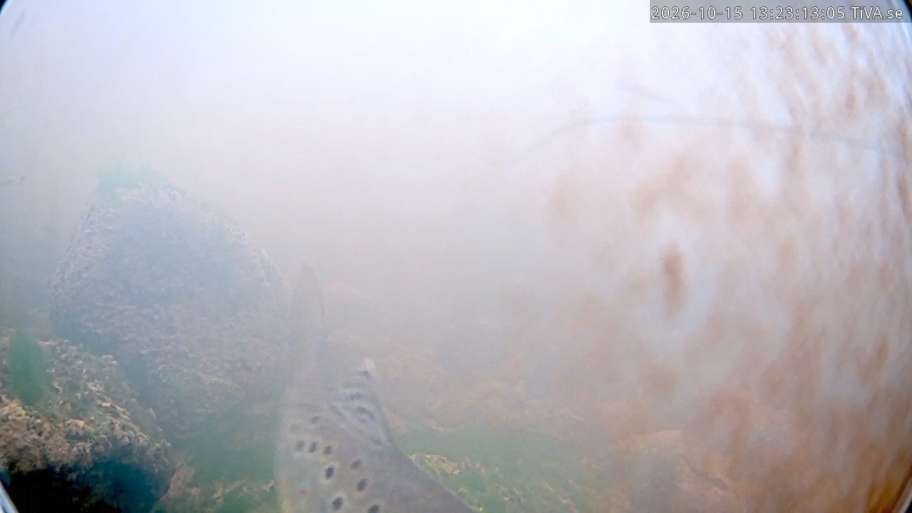 Video 2026-10-15 13:23