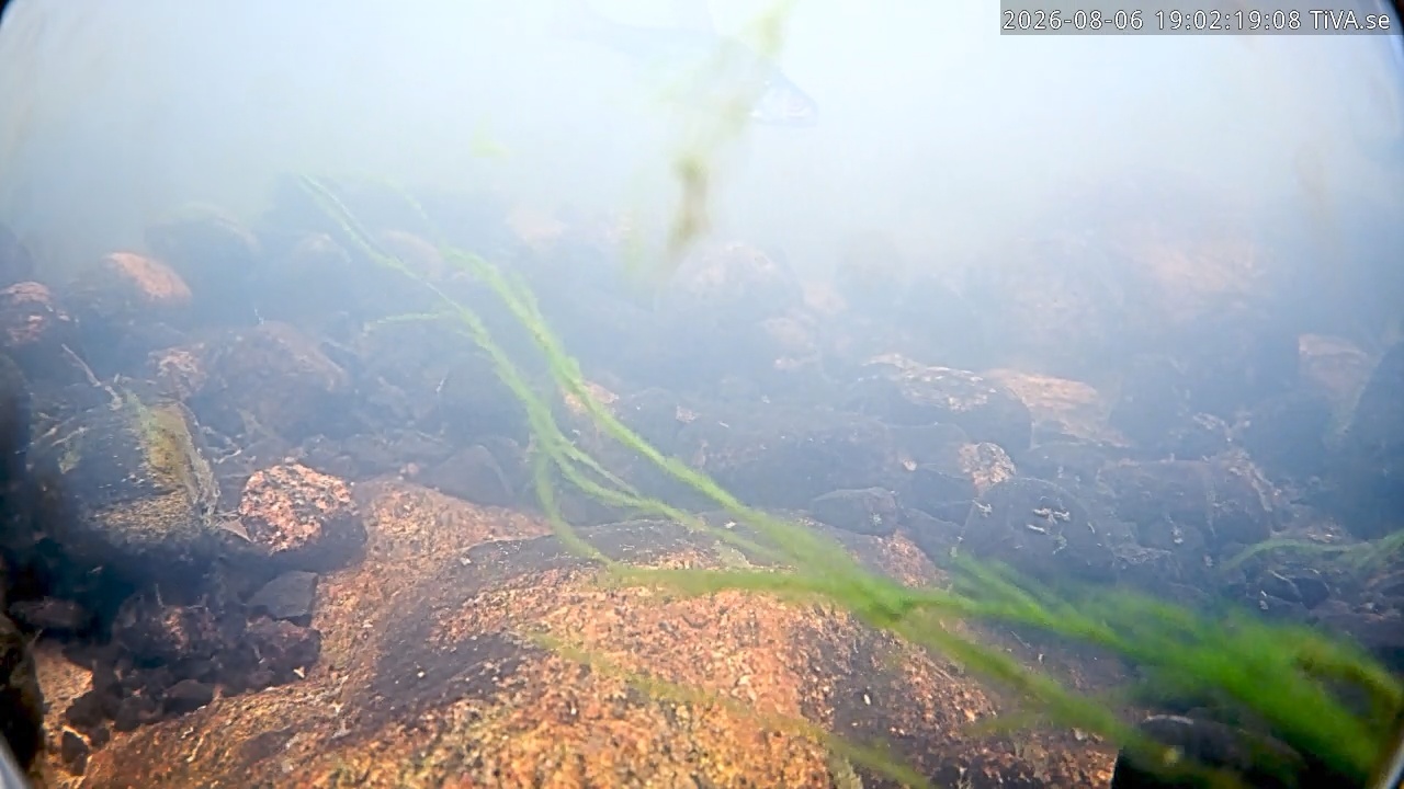 Video 2026-08-06 19:02