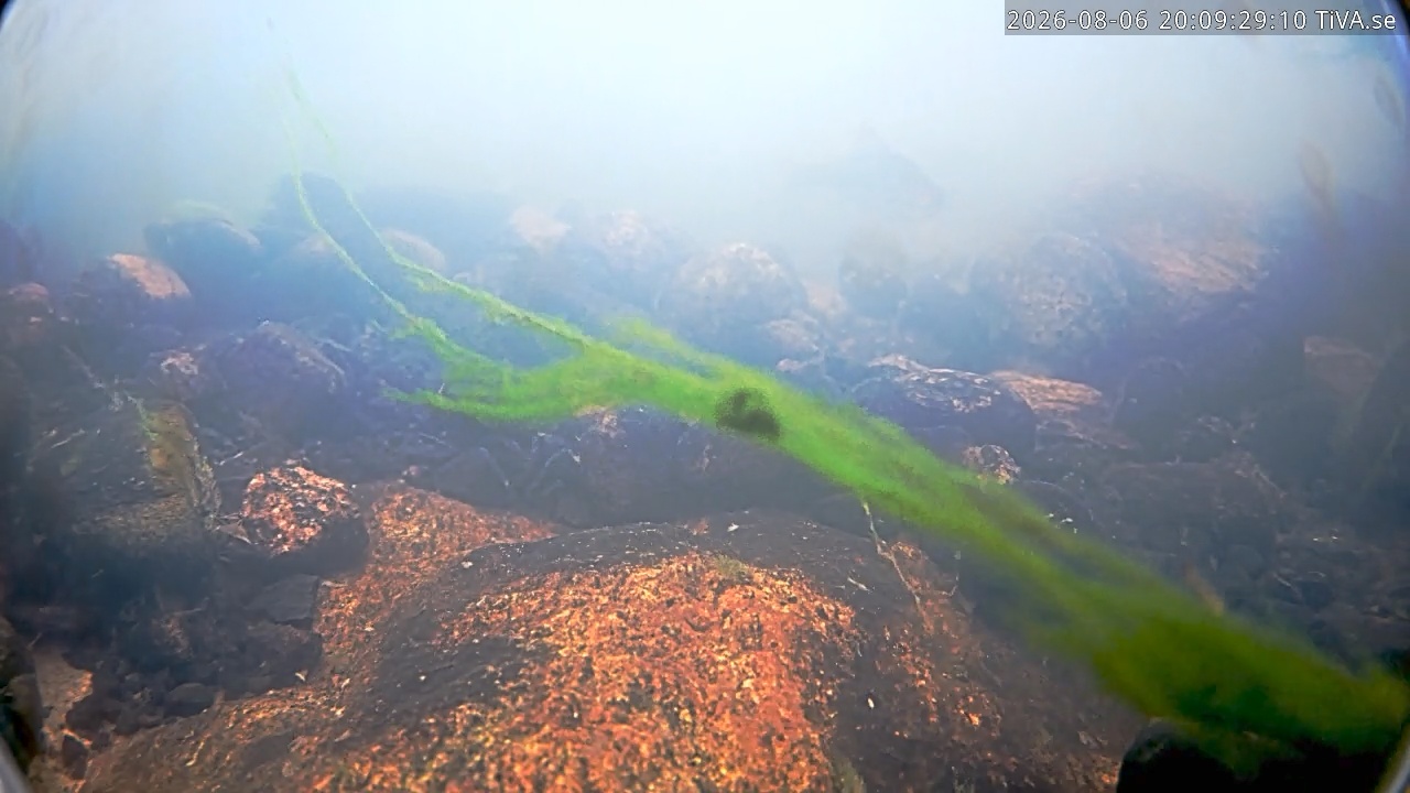 Video 2026-08-06 20:09