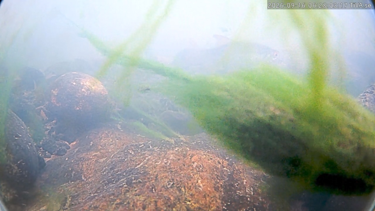 Video 2026-09-16 06:28