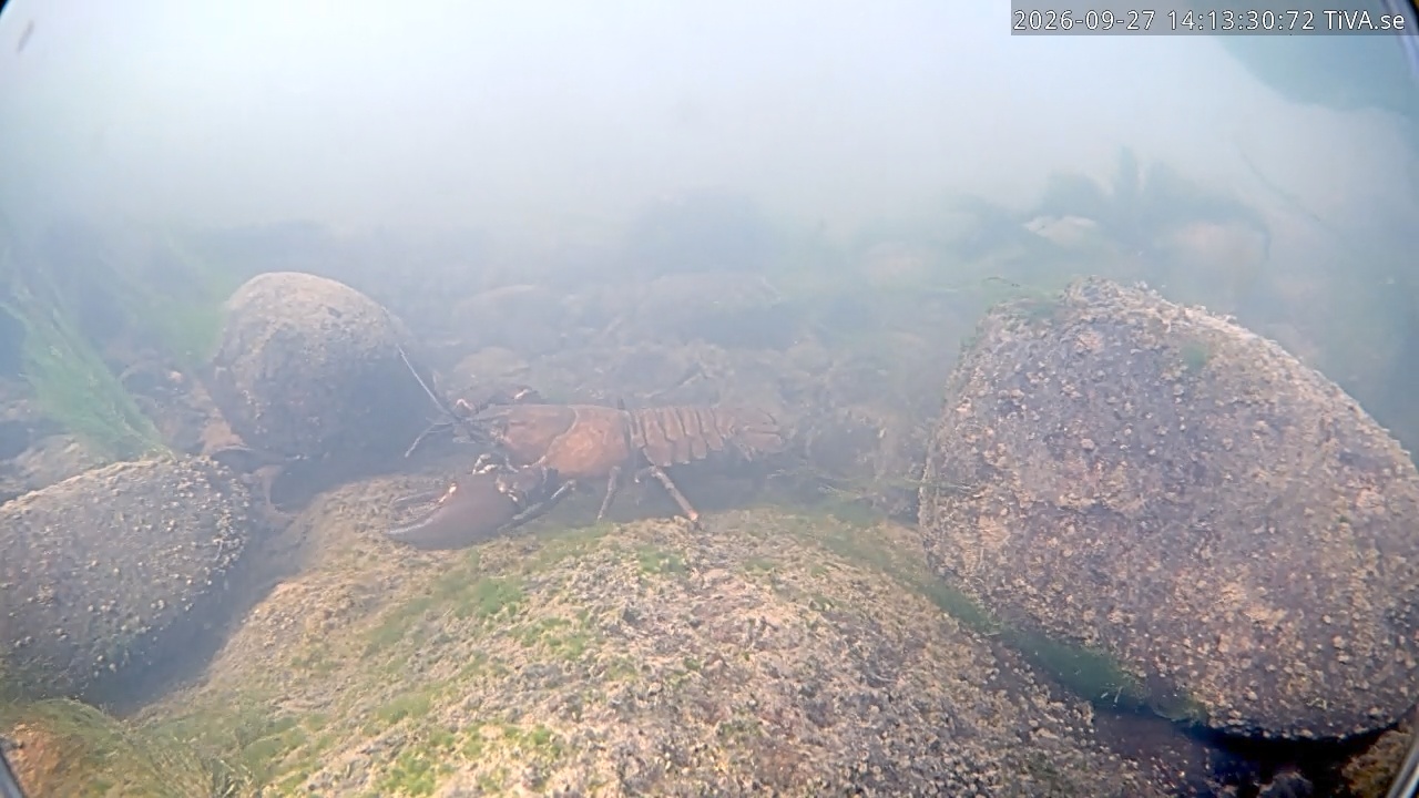 Video 2026-09-27 14:13