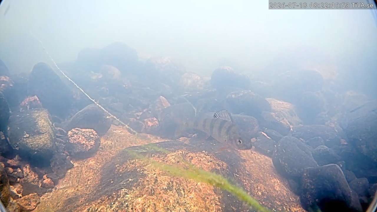 Video 2026-07-18 08:22
