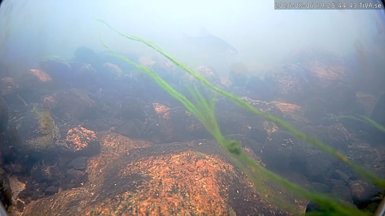 Video 2026-08-06 19:25