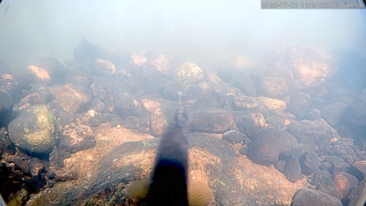 Video 2026-07-21 11:20