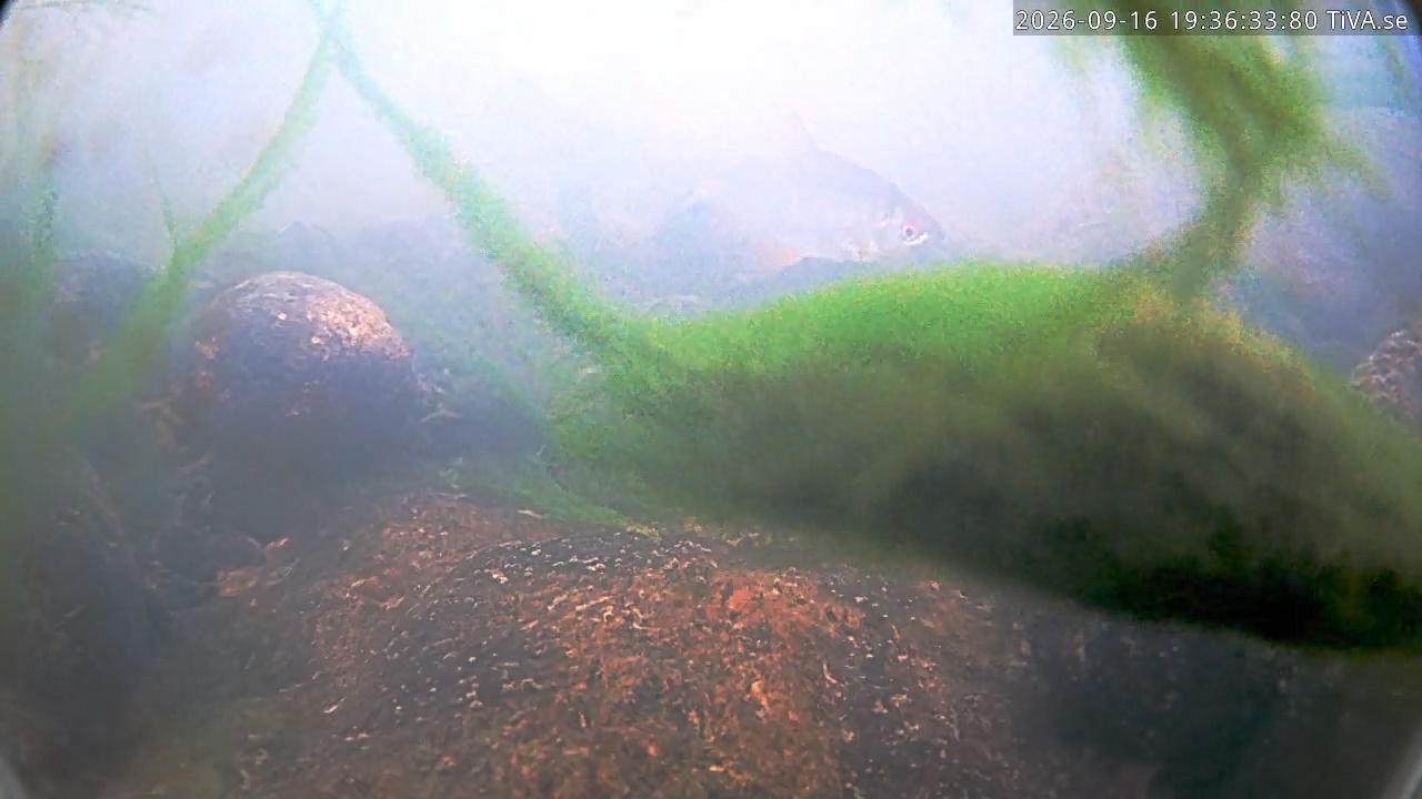 Video 2026-09-16 19:36