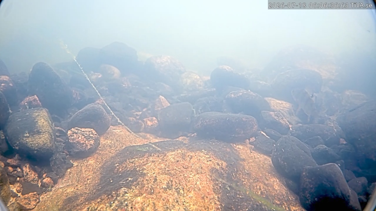 Video 2026-07-18 06:06