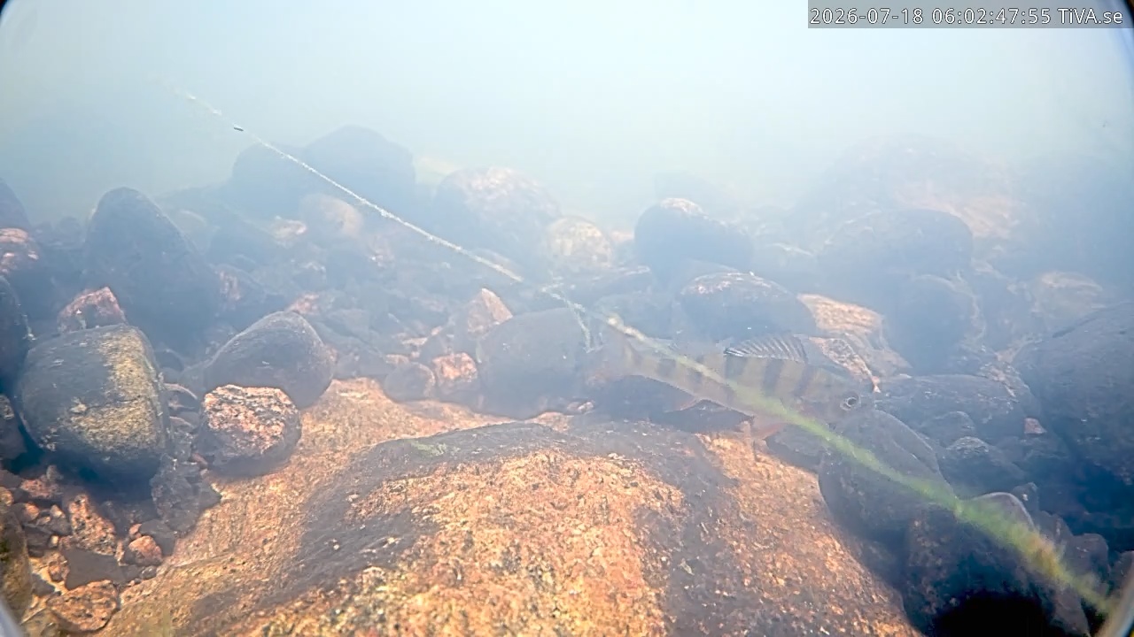 Video 2026-07-18 06:02