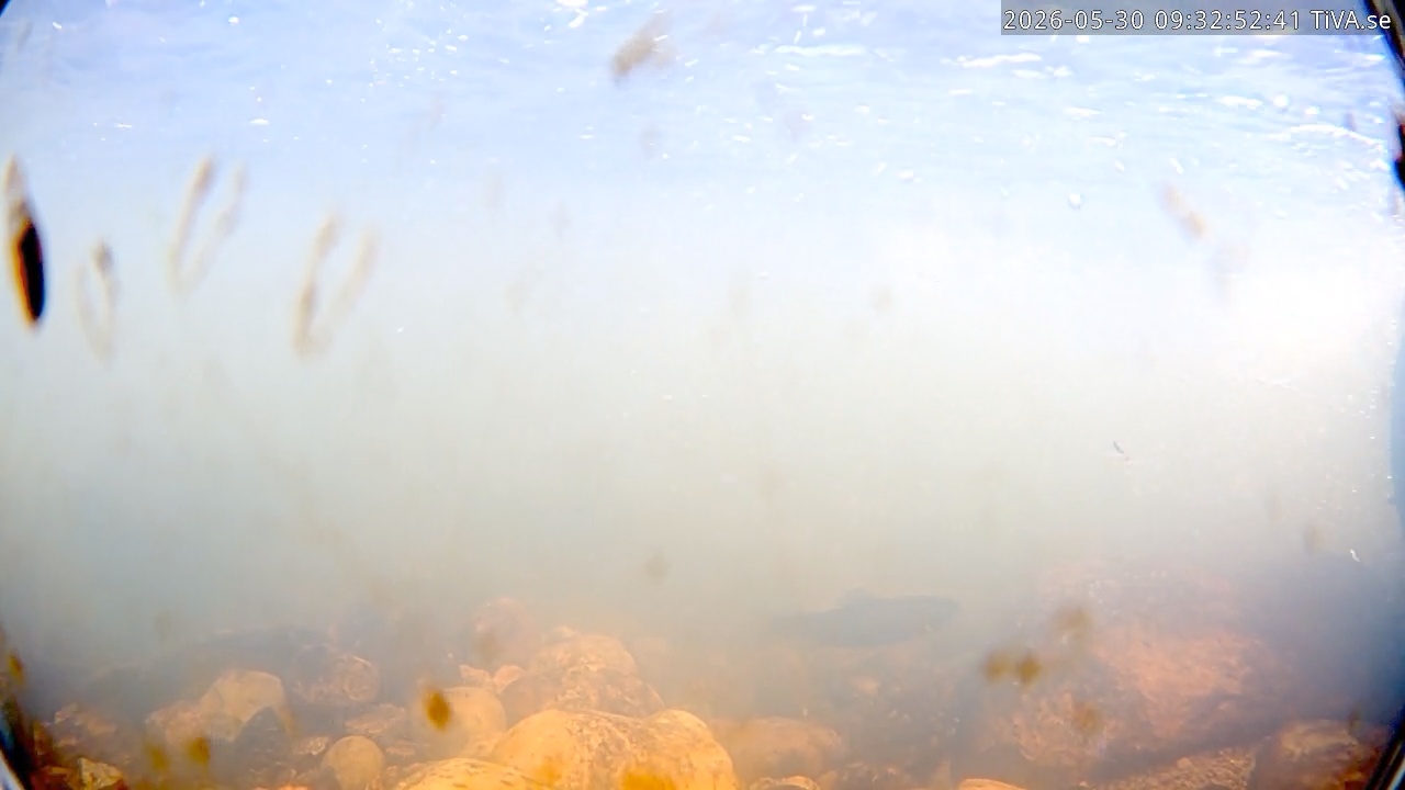 Video 2026-05-30 09:32
