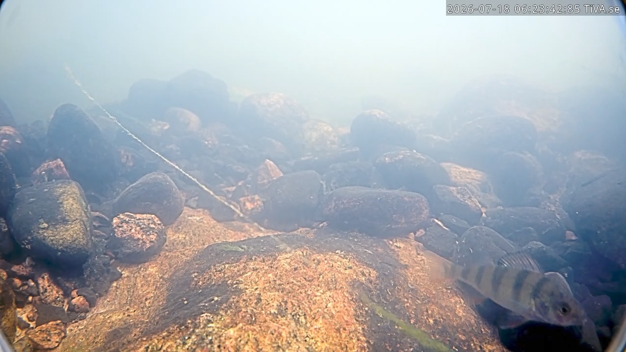 Video 2026-07-18 06:23