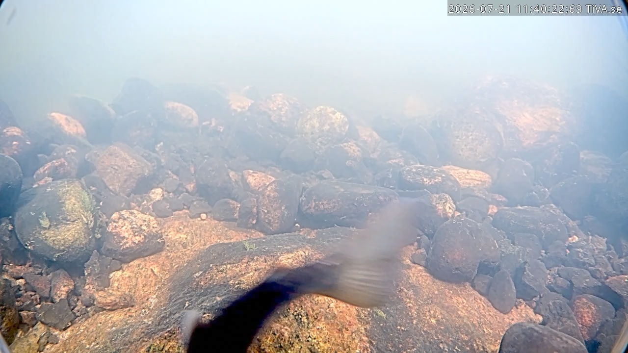 Video 2026-07-21 11:40