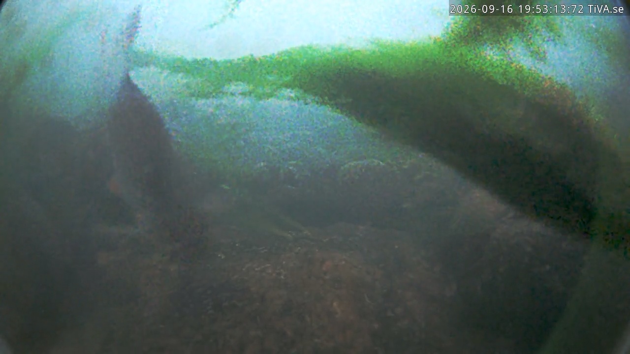 Video 2026-09-16 19:53