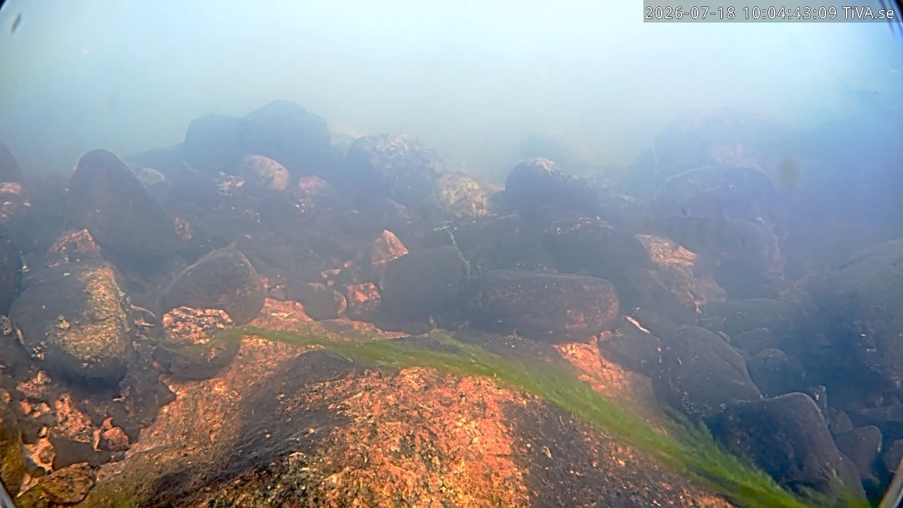 Video 2026-07-18 10:04