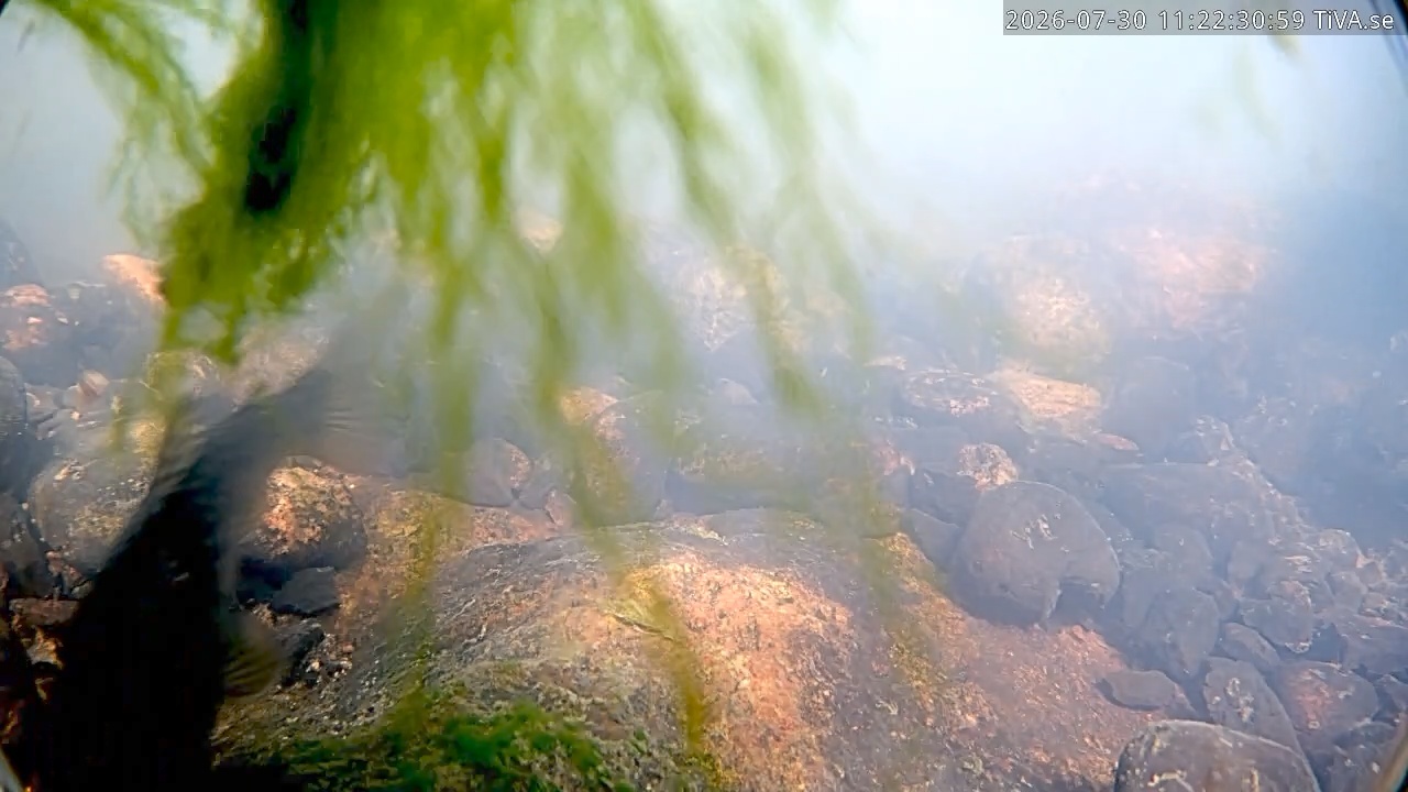 Video 2026-07-30 11:22