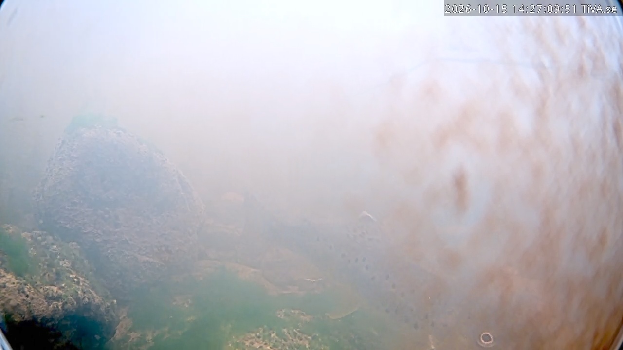 Video 2026-10-15 14:27